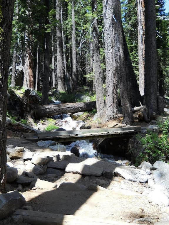 Stony Creek Lodge Sequoia National Park Exterior foto