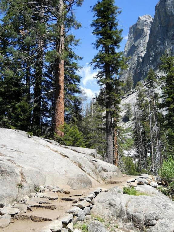 Stony Creek Lodge Sequoia National Park Exterior foto