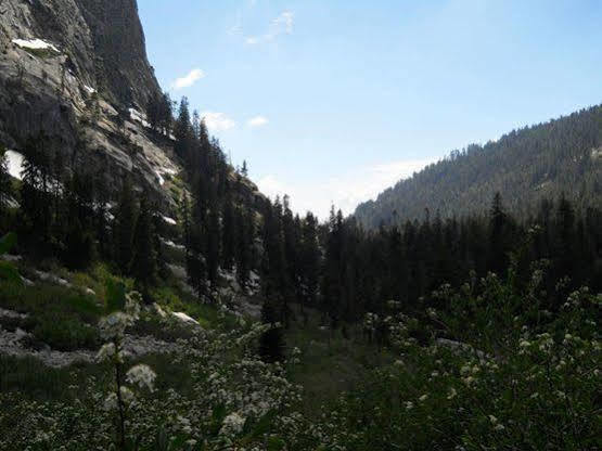 Stony Creek Lodge Sequoia National Park Exterior foto